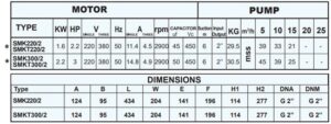 Насос двухступенчатый центробежный SMK220/2 – SMKT300/2, SMKT550/2-SMKT750/2