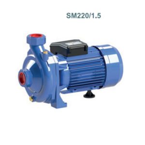 Одноступенчатый центробежный насос SM150, SM220/1,5 фото