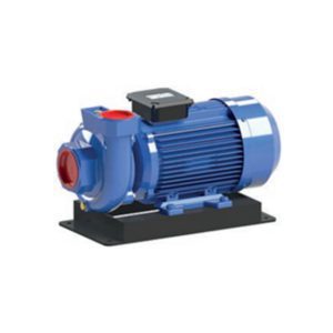 Насос одноступенчатый центробежный SM550/3 – SMT1500/3